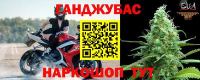 шишки Шахты