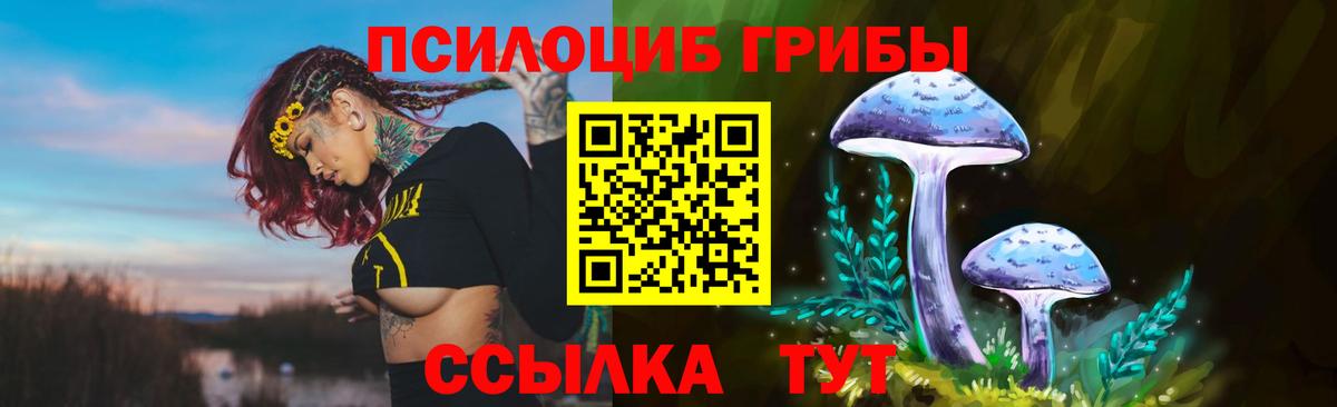 Белорецк  Галлюциногенные грибы Psilocybe  где можно купить   Вход с VPN  Галлюциногенные грибы ЛСД 